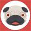 picsofpugs.com