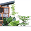 yardtotable.com