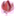 rubyfruitsproperty.wordpress.com