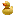 bigduckcanvas.com
