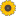 tiashope.org