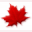 starwalk.ca