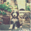 oldmoonlight.com