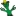 sillycactus.com