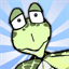 flightoftheturtle.com