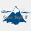 conorboyd.info