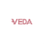 vedasec.com