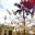 thengocthao.wordpress.com
