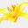 dinspar.com