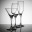 winebrarian.wordpress.com