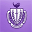 cupanhellenic.com