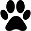 kellysdazzledog.com