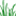 treecityjuice.com