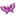 drlilys.com