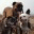 adventuredawgs.wordpress.com