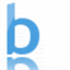 bijesh.net