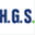 hgspartner.de