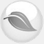 nefoundation.ca