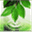 polyinform.ru