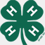 dustybooteagleranch.com