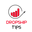 dropshiptips.com