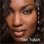 teritobin.com