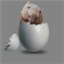 eggalicious.com
