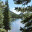 aspenleafvillage.com