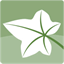ivycorp.net