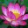 kusalaprojects.org