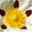 simonfer.wordpress.com