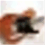 bulletproofblues.com