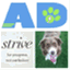 activedogz.com