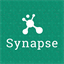 synapse.am