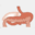 gastrocer.com