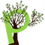 ecoparral.com