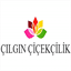 cilginithalat.com