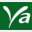 yalijon.com