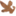 kochane.com