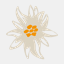 appdeveloper.mobi