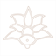 lanternfly.com