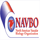 navbo.webscribble.com