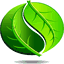 yalebta.com