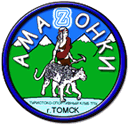amazonki.tpu.ru