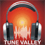 tunevalley.co.uk
