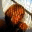 marcelaredon.wordpress.com