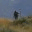 holyrover.wordpress.com