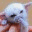 myclipsblog.wordpress.com