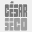 cesarseco.com