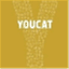 youcatguy.wordpress.com